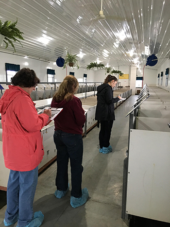 a group taking notes in kennels